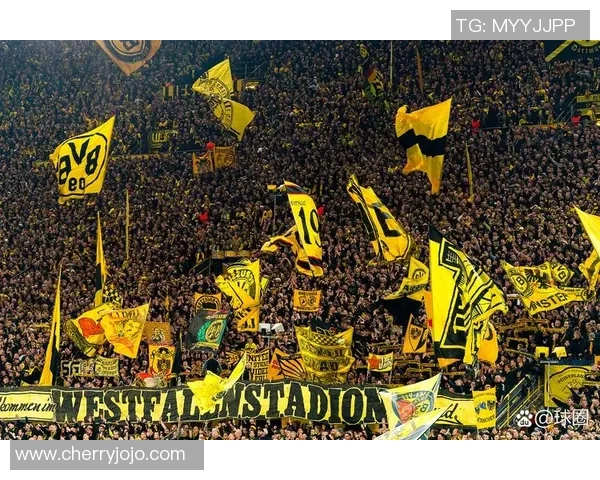 英超精彩对决多特蒙德绝杀里昂全场沸腾战术解析与精彩瞬间回顾